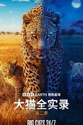 大猫全实录第2季