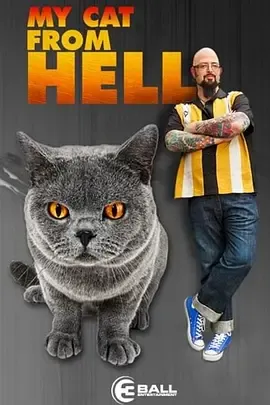 家有恶猫第4季