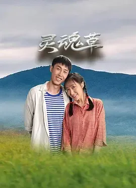 灵魂草