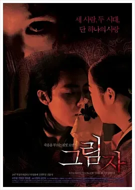 影子2007