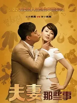 夫妻那些事2012