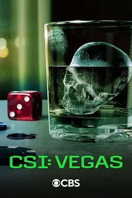 犯罪现场调查维加斯第3季