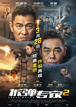 拆弹专家2国语