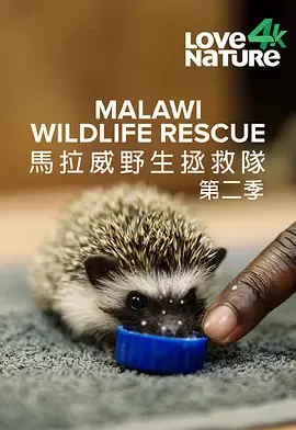 马拉维野生动物救援第2季