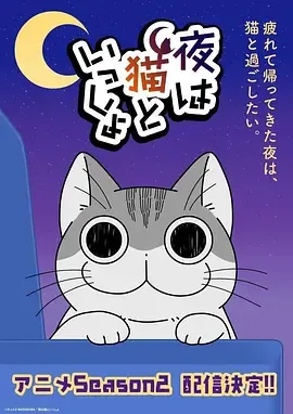 关于养猫我一直是新手第2季