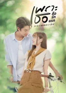 致我们单纯的小美好国语