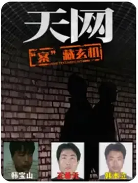 天网“案”藏玄机