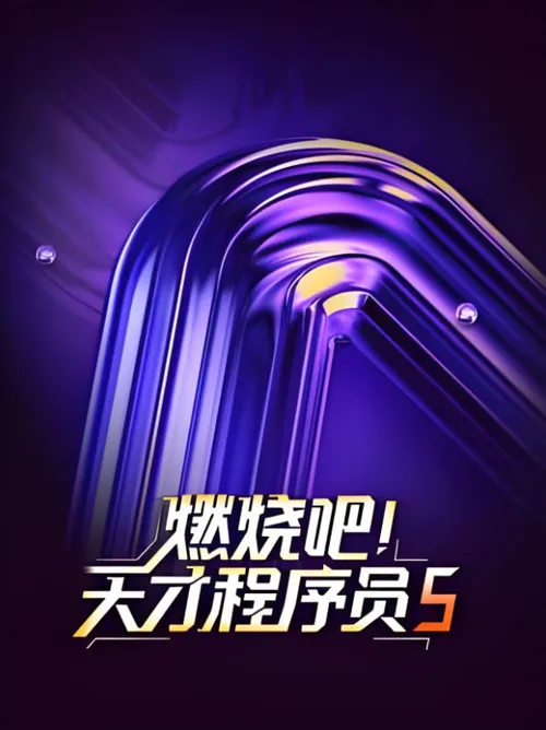 燃烧吧！天才程序员第5季