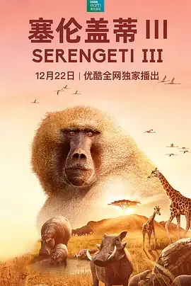 塞伦盖蒂第3季