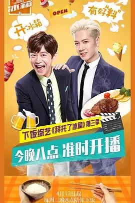 拜托了冰箱中国版第3季