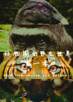 动物园的野生世界第1季