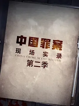 罪案现场实录第2季