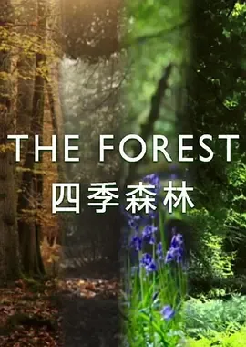 四季森林第1季