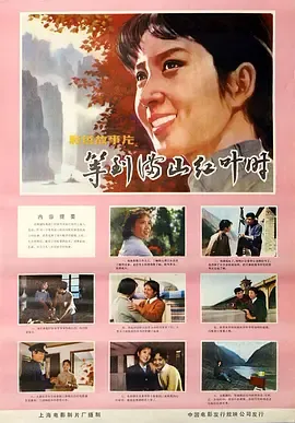 等到满山红叶时