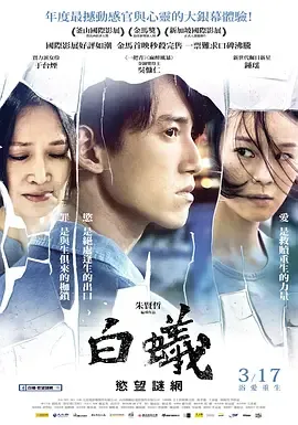 白蚁欲望谜网