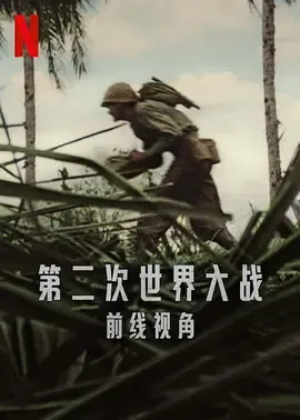 第二次世界大战前线视角