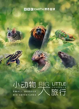 小动物大旅行第1季