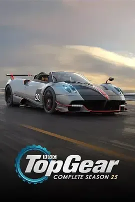 巅峰拍档第25季