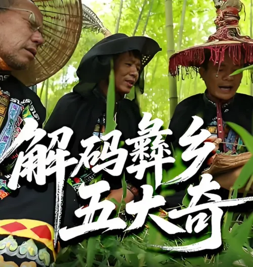 解码彝乡五大奇