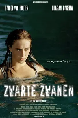 黑天鹅2005