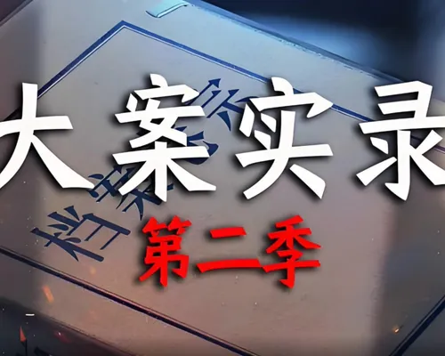 大案实录第2季
