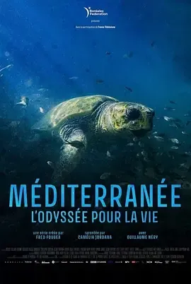 地中海