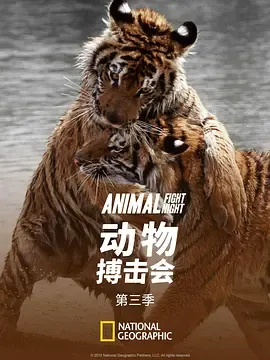 动物搏击会第3季