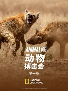 动物搏击会第1季