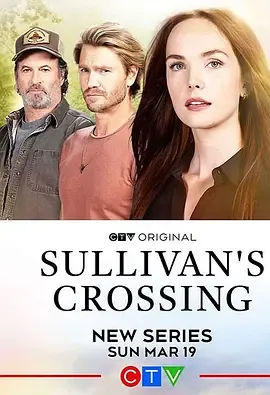 苏利文的十字路口第1季