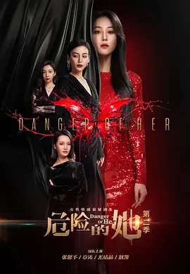 危险的她第2季