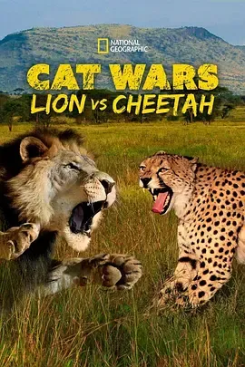 搜索猫科大战狮子VS猎豹
