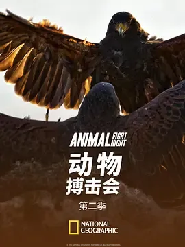 动物搏击会第2季