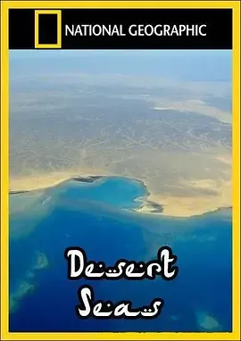 沙漠之海