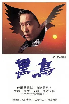黑鸟1995