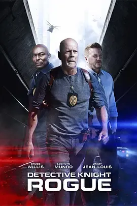 警探奈特侠盗