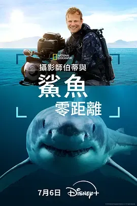 摄影师贝尔蒂与鲨鱼零距离