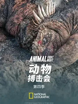 动物搏击会第4季