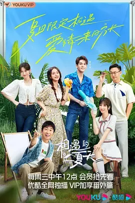 相遇的夏天会员版
