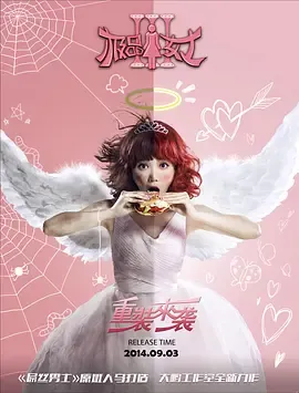 极品女士第3季