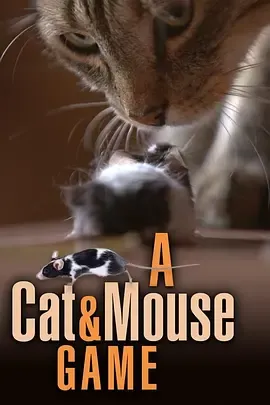 猫鼠游戏2019