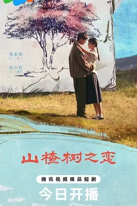 山楂树之恋