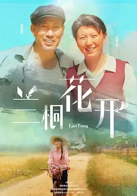 兰桐花开