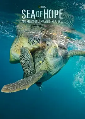 希望之海美国海底之宝