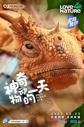 神奇动物的一天第1季