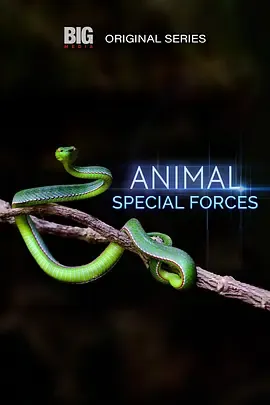 动物特种部队第2季