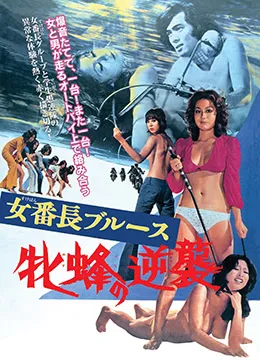 女番长布鲁斯雌蜂的逆袭