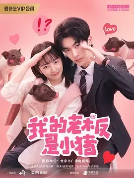 我的老板是小猪