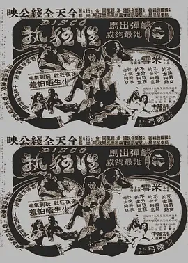 Disco性狂热