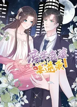 逆袭归来我的废柴老婆第3季