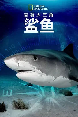 百慕大三角鲨鱼